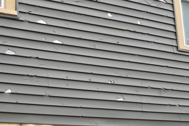 Best Fascia and Soffit Installation  in Williamsburg, VA