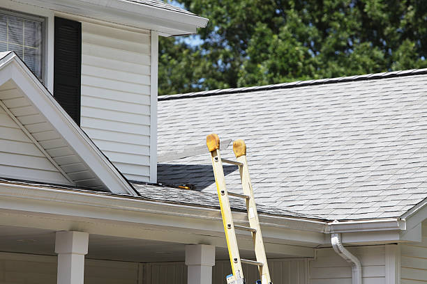 Affordable siding repair and maintenance services in Williamsburg, VA